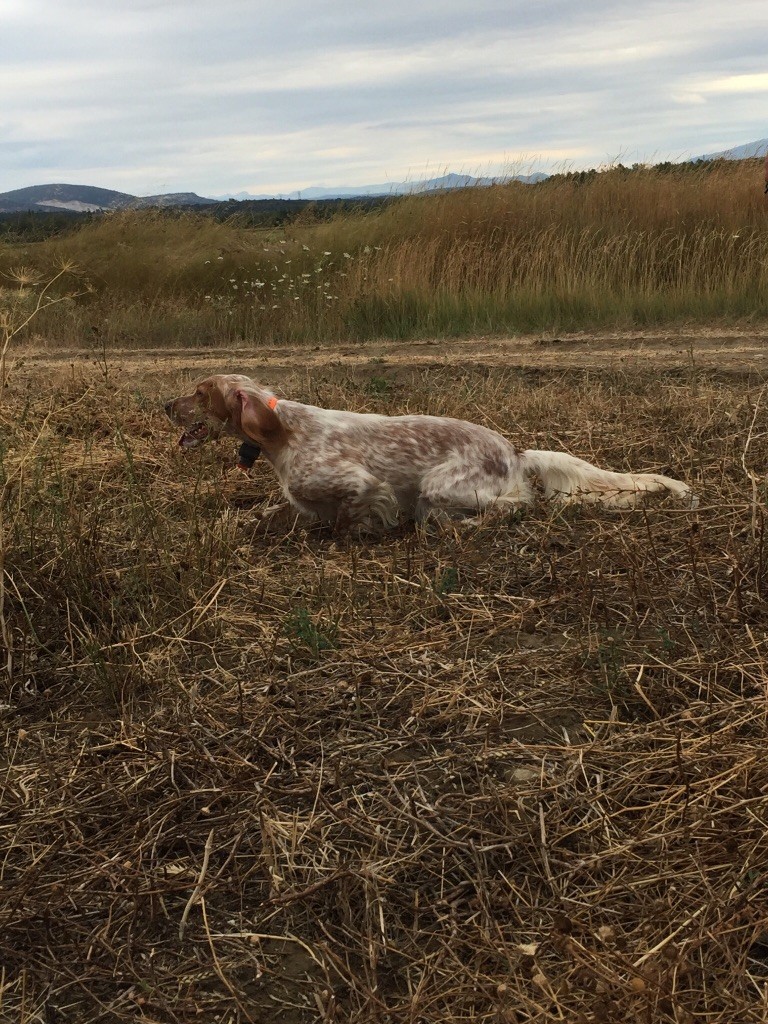 de la vallee de l'Escrinet - TAN LA TOUCHE 23/07/2017